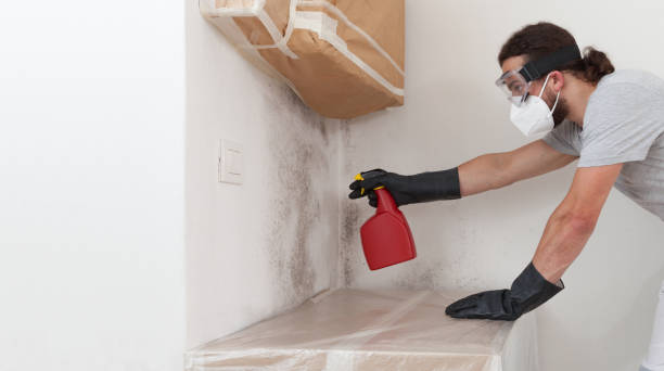 Professional Mold Cleanup technician working in Riverside, NY